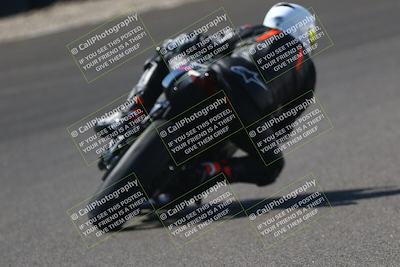 media/Sep-21-2025-TrackDaz (Sun) [[277c75b276]]/B Group/220pm (Turn 6)/